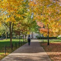 student walking on campus in fall setting