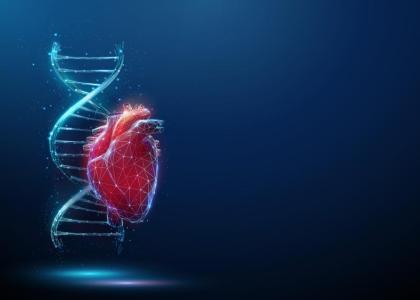 DNA and a heart