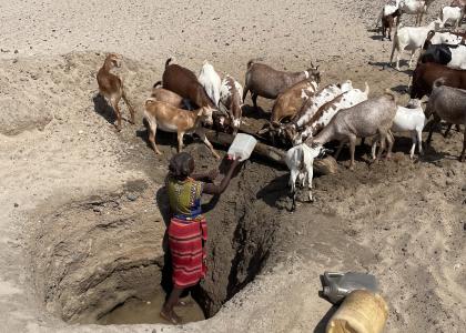 Woman giving goats water from a well