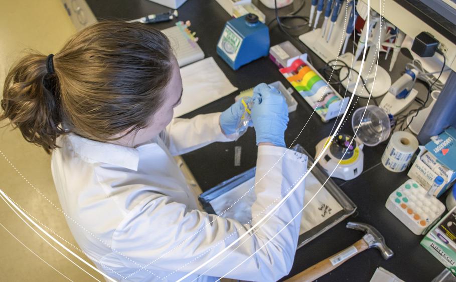 Student working in a laboratory. 