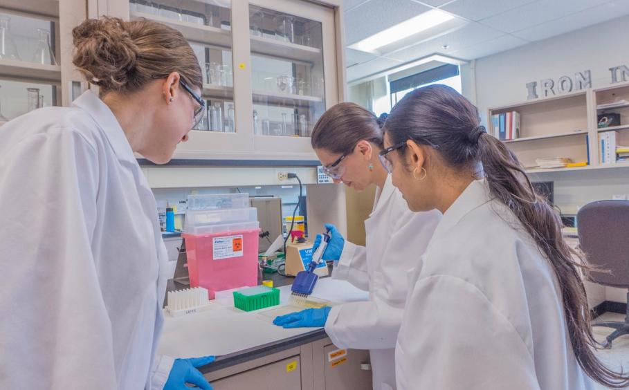Graduate students working in a lab