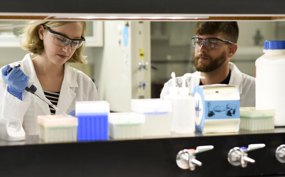 Graduate Students in laboratory.