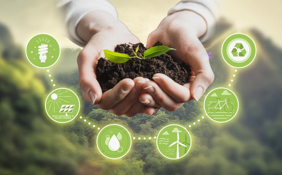 hand holding soil and plant with sustainability icons