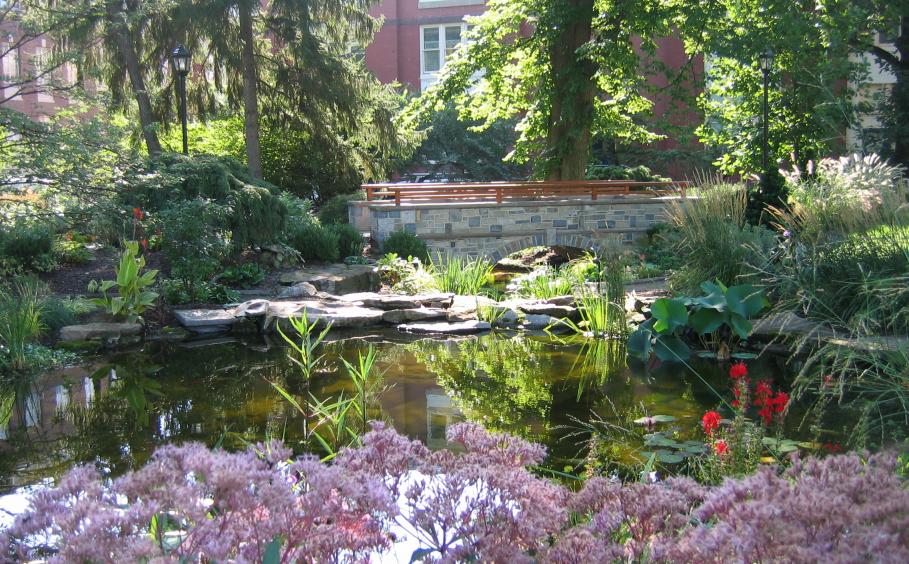 Alumni Pond