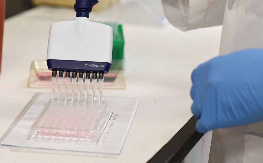 Close of a student using a multichannel pipette. 