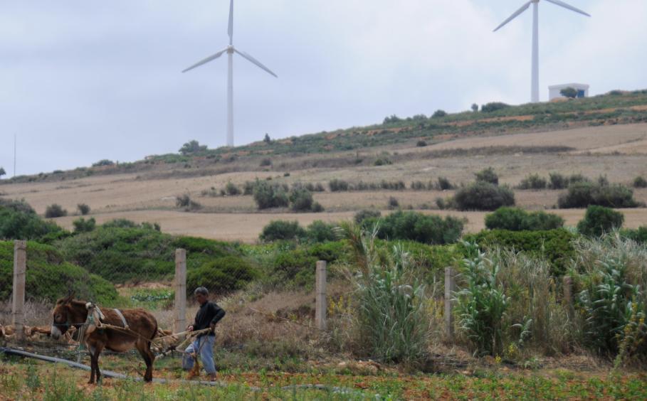 Rural farmer with wind turbines in the background