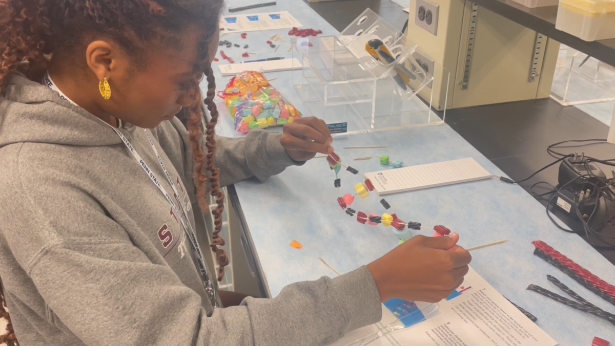 =DNA and Your Health Camper creates a DNA model.