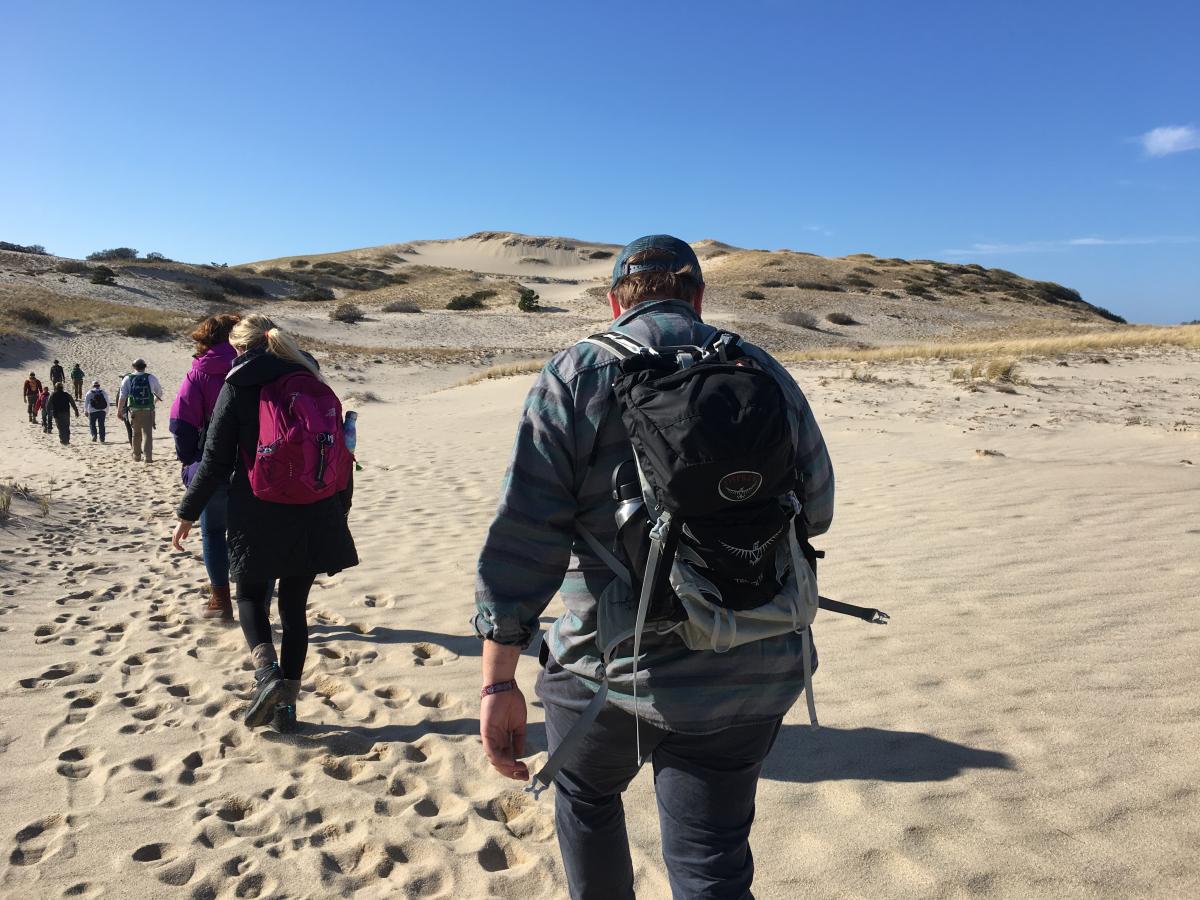 =Students walking on a beach during the Exploring Cape Cod class