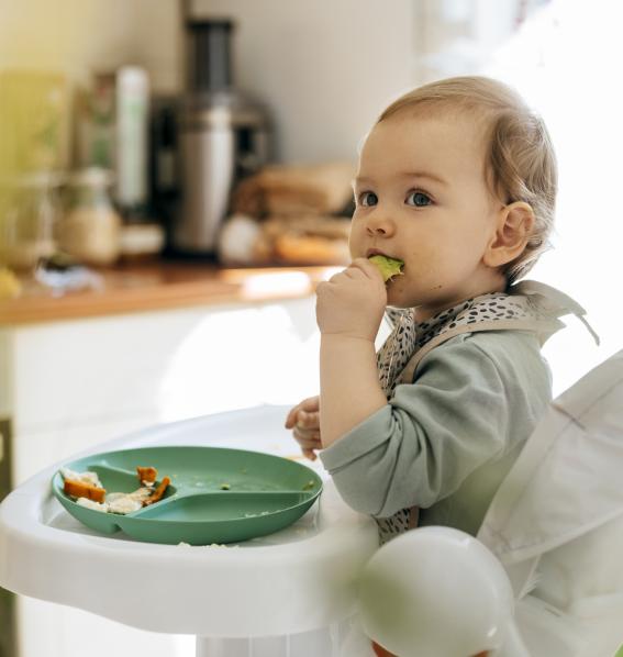 young child eating food in a high chair